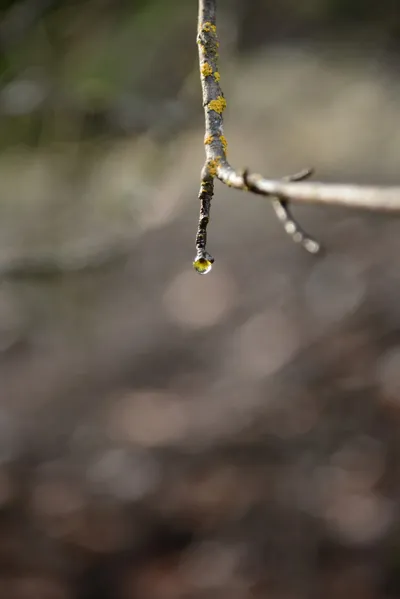 DSC_0896 (Large).JPG